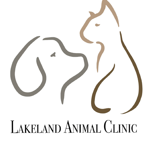 Lakeland Animal Clinic